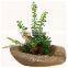 Natural look good quality artificial succulent bonsai fake succulent plant wholesale