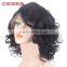 glueless full Lace wigs unprocessed virgin brazilian full Lace human hair wigs for black women                        
                                                Quality Choice