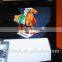 Magic augmented reality software display with 3D image