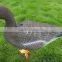 grey goose