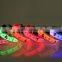 LED dog collar