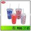 16oz Bpa Free Double Wall Photo Insert Acrylic Tumbler With Straw