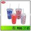 16oz bpa free double wall photo insert acrylic tumbler with straw