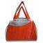Disposable cooler bag promotional non woven cooler bag