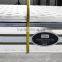 import feather sleep well spring bedroom mattress