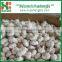 2016 Fresh and Dry Garlic - Chinese Garlic Exporters