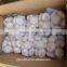 2015 new crop of fresh garlic