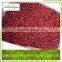 Frozen Lingonberry