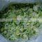Frozen Green Onion with best price