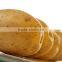 Cheap Fresh Potato for Potato Importer in Malaysia