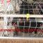 TAIYU Egg Cage for Egg Laying Chicken Poultry Farm