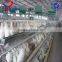 Low price and High quality poultry layer equipments