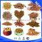 Certificate Approved Automatic Dog food extrusion machine