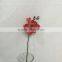 3 flower heads orchid flowers for room decor