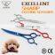 economic pet grooming scissors Multi color dog scissors