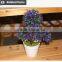 New design potted plant for house design new product on China market