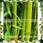 Artificial bamboo stick outdoor artificial bamboo hight quality artificial bamboo