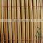 fern screen