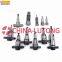Diesel Plunger Pw2-China Ep9 Diesel Pump Plunger