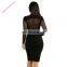 Black V-Neck Patchwork Sheer Pinstripe Full Sleeve Mesh Midi Bodycon Dresses