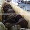 QSK23 Heavy truck diesel engine part crankshaft assembly 4095435