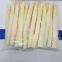 IQF White asparagus spears L grade washing ,peeled ,blanching