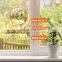 Window Clear Fly Trap Catcher Gnats Sticky Strip Fruit Fly Glue Trap Attrape Mouches Sticker