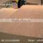 China Shandong Yelu Plywood board for furniture