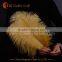 2016 Wholesale White Ostrich Feather 14-16inch for Sale