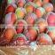 Mango Protective Foam Packaging Net
