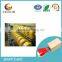 masking film