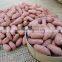 new products organic peanut kernels,blanched peanuts ,raw green peanuts for sale