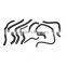 Automotive all types radiator hose