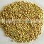 BUCKWHEAT KERNELS