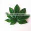 China Natural decorative artificial hanging plam tree leaves with happy price