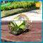 200ml clip top jars keer fresh airtight round clip top jars wholesale