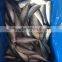 Frozen Mackerel HGT, pacific mackerel fish price, export pacific mackerel