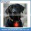LED flash pet collar