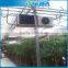 Hot dipped galvanized pipe steel multi span greenhouse frame