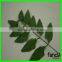 China new arrival 18 branches cheap artificial leaves for decoration