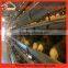 Stable Steel Structure Professional Chicken Egg Layer Cage Egg Layer House Design