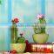 Christmas Ornaments office table decoration office decoration , fake plants