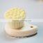 Deep Cleansing Facial Pore Brush