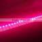 2015 High Quality SMD 5050 Flexible LED Strip, 12V LED Strip, IP65, led strip light