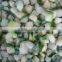 New crop IQF Frozen courgette(zucchini)diced