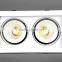 Downlight for Project 2016 NEW products