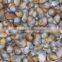 Organic Bajra/ Sorghum