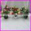 wholesale deocoration plastic bonsai pot