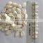 Organic Snow White Pumpkin seed kernels