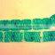 University lab biological and medical science microscope slides